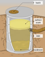 Septic service